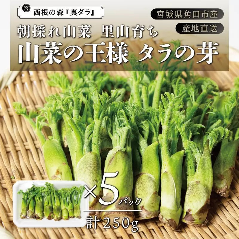 [宮城県角田市産]産地直送 朝採れ山菜 タラの芽 250g【12月下旬以降順次発送】