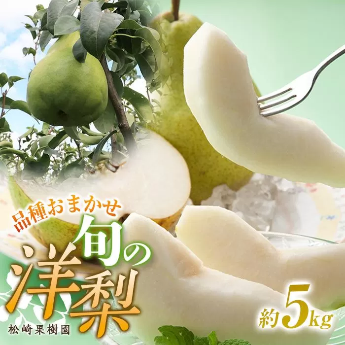 品種おまかせ旬の洋梨 約5kg【松崎果樹園】