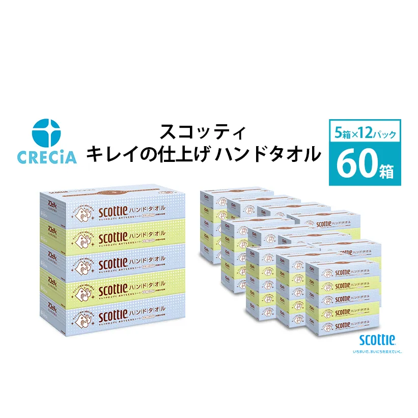 ペーパータオル キレイの仕上げ ハンドタオル 1ケース （5箱入×12パック） スコッティ 手拭き タオルペーパー セット キッチン 節約 日用品 日用雑貨 消耗品 備蓄 備蓄品 備蓄用 防災 災害 キッチンタオル ペーパー ハンド タオル 宮城