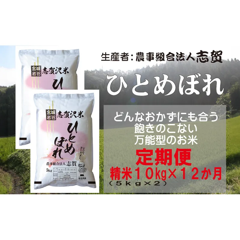 【12ヶ月定期便】宮城県岩沼市産 志賀沢米 ひとめぼれ 精米10kg(5kg×2）