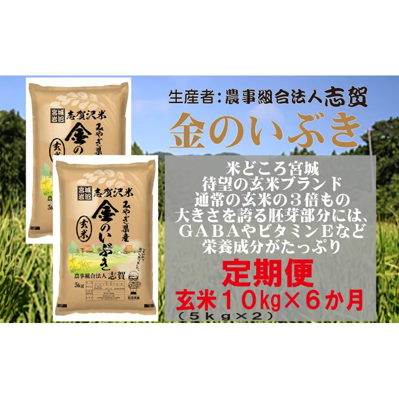 【6ヶ月定期便】宮城県岩沼市産 志賀沢米 金のいぶき 玄米10kg(5kg×2）