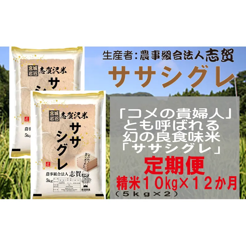 【12ヶ月定期便】宮城県岩沼市産 志賀沢米 ササシグレ 精米10kg(5kg×2）