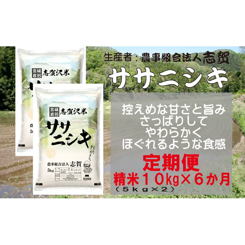 【6ヶ月定期便】宮城県岩沼市産 志賀沢米 ササニシキ 精米10kg(5kg×2）