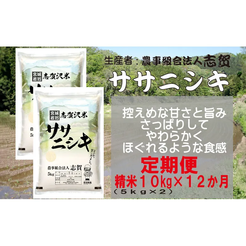 【12ヶ月定期便】宮城県岩沼市産 志賀沢米 ササニシキ 精米10kg(5kg×2）