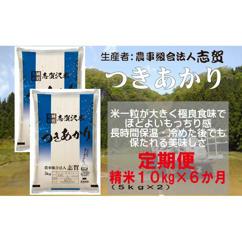 【6ヶ月定期便】宮城県岩沼市産 志賀沢米 つきあかり 精米10kg(5kg×2）