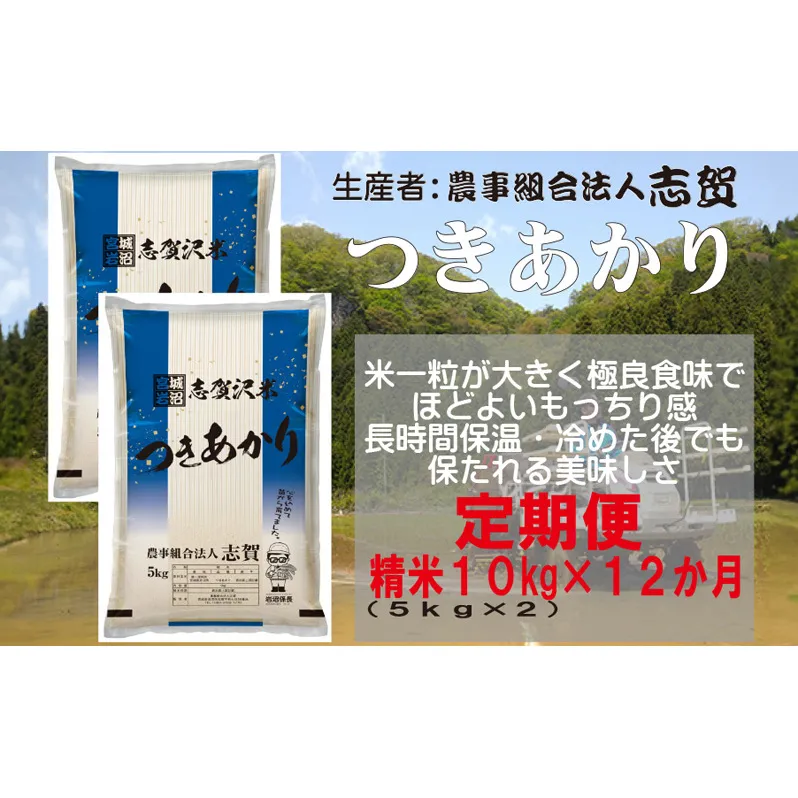 【12ヶ月定期便】宮城県岩沼市産 志賀沢米 つきあかり 精米10kg(5kg×2）