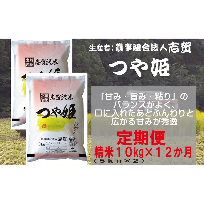 【12ヶ月定期便】宮城県岩沼市産 志賀沢米 つや姫 精米10kg(5kg×2）