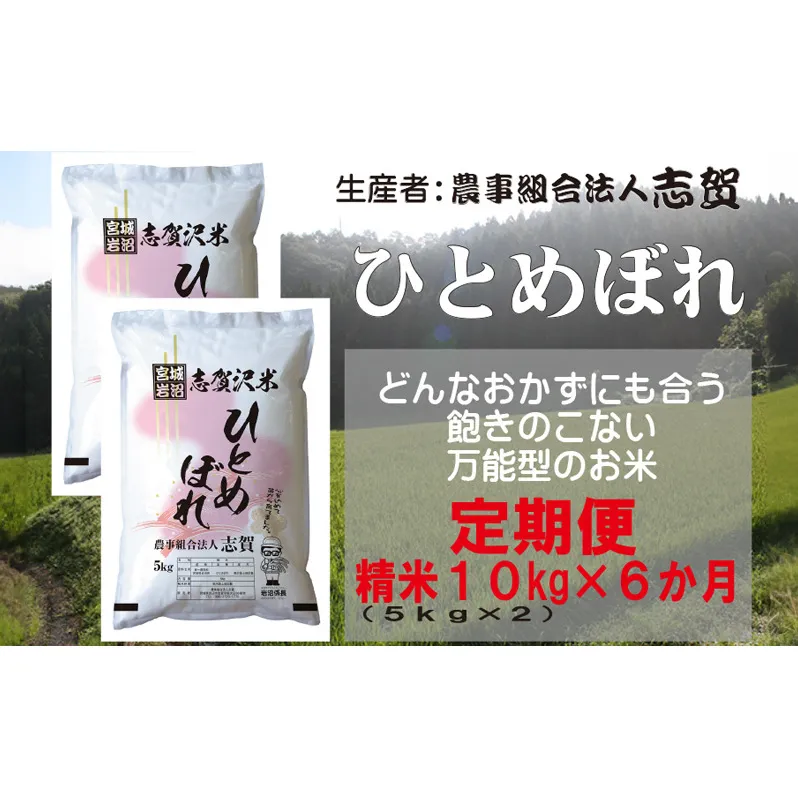 【6ヶ月定期便】宮城県岩沼市産 志賀沢米 ひとめぼれ 精米10kg(5kg×2）