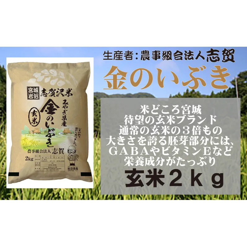 宮城県岩沼市産 志賀沢米 金のいぶき 玄米2kg