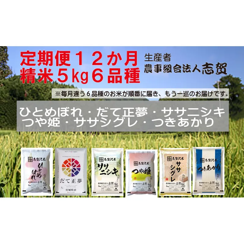 食べ比べ！【12ヶ月定期便】宮城県岩沼市産 志賀沢米 5kg サブスク　