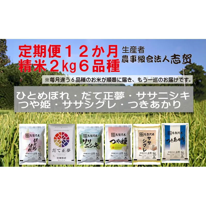 食べ比べ！【12ヶ月定期便】宮城県岩沼市産 志賀沢米 2kg サブスク　