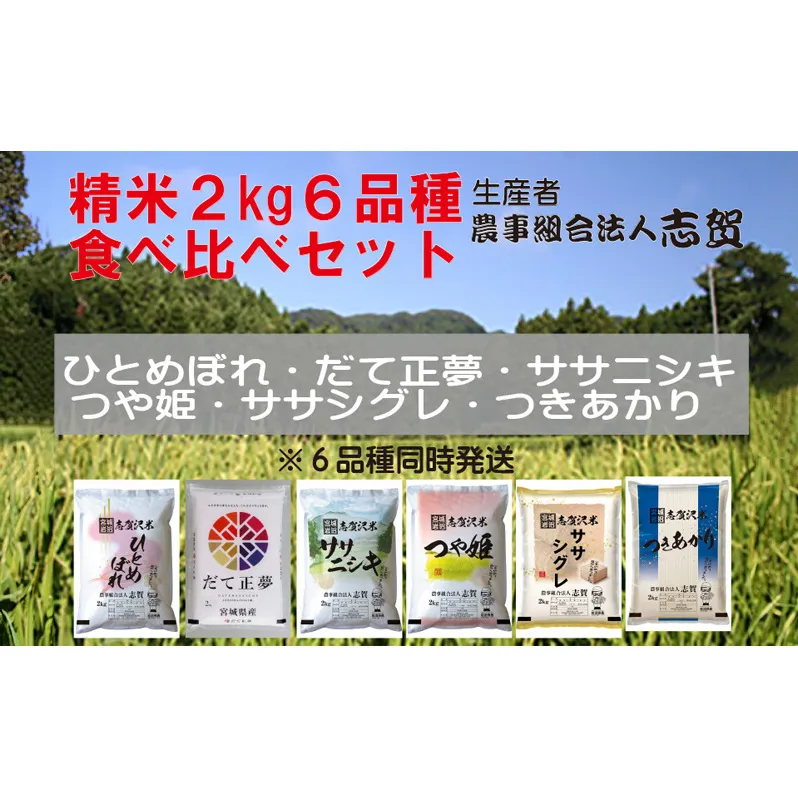 宮城県岩沼市産 志賀沢米 食べ比べセット 2kg×6品種