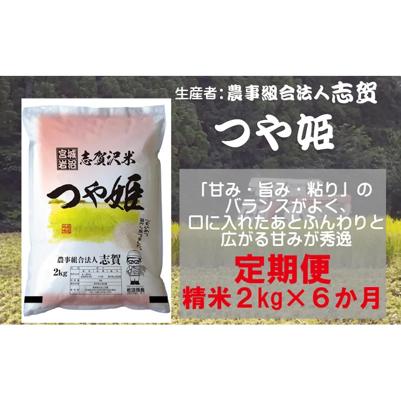 【6ヶ月定期便】宮城県岩沼市産 志賀沢米 つや姫 精米2kg