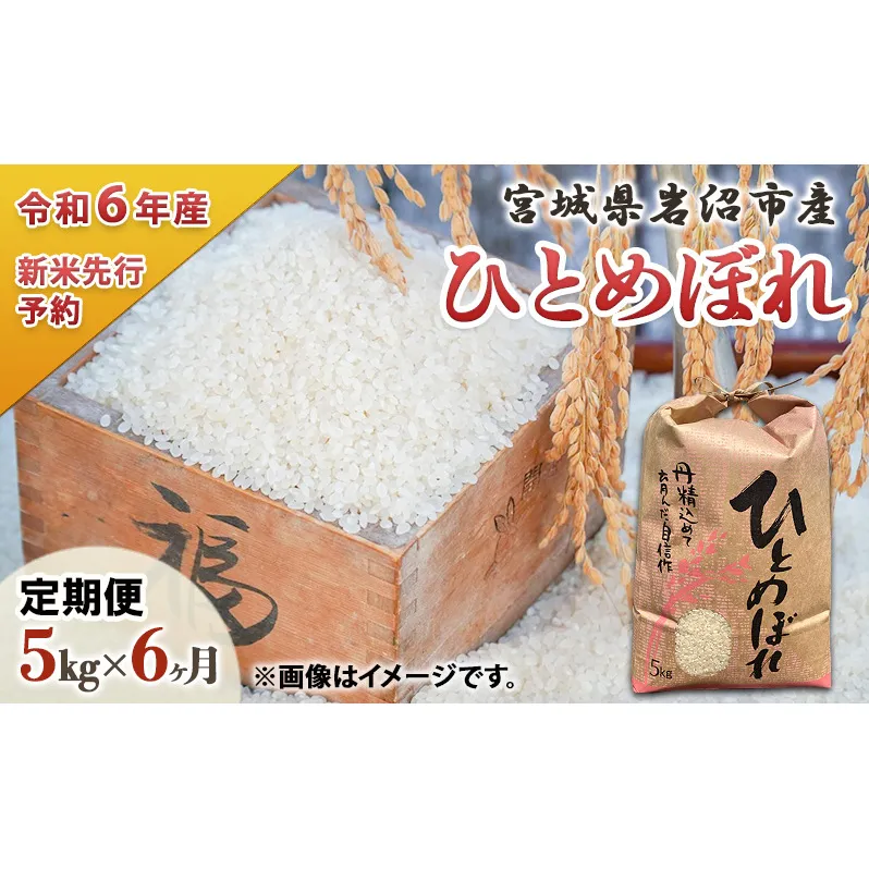 定期便 6回 (6か月間定期便) 令和6年度 宮城県産 ひとめぼれ 5kg お米 こめ コメ