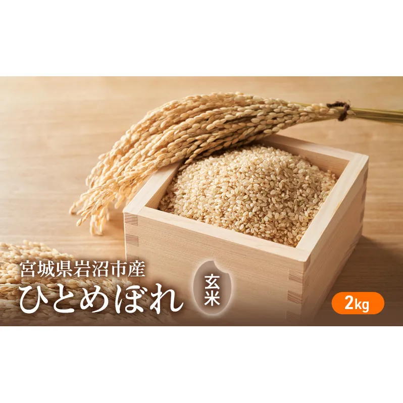 令和6年度産 ひとめぼれ玄米2kg 宮城県 岩沼市 玄米 お米 米 ごはん ご飯 単一原料米