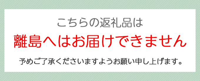 和小物2点セット (ぷっくりバッグ、ファスナーポーチ)｜手提げバック 小物入れ 手作り [0183]｜富谷市｜宮城県｜返礼品をさがす｜まいふる by  AEON CARD