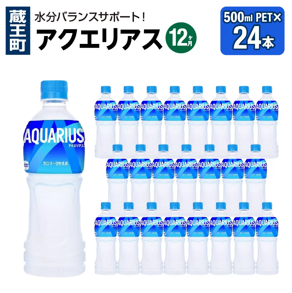 【12か月連続お届け】アクエリアス　500ml PET×24本　【04301-0707】