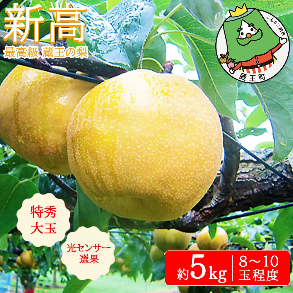 最高級 蔵王の梨 新高 約5kg 特秀･大玉　【04301-0718】