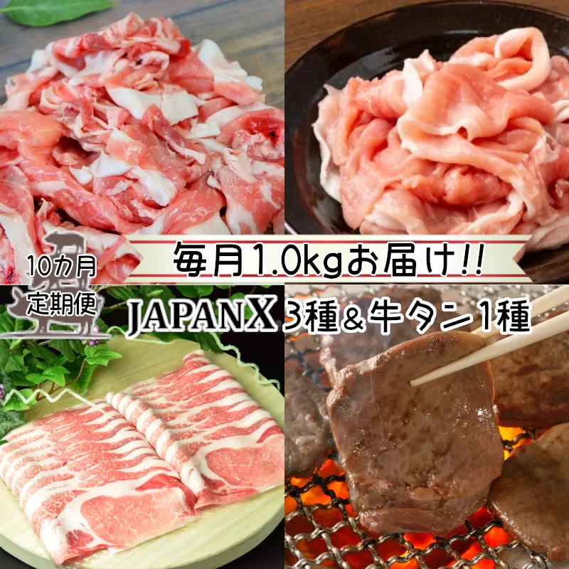 【定期便10か月】JAPAN X3種特選仙台牛タン塩味セット 計1kg【真空パック・特選仙台牛タン塩味8mm・JAPAN X3種(ロース・モモ・小間)】　【04301-0556】