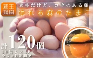 【３か月連続お届け】眠れる森のたまご　朝採れ卵40個　【04301-0325】