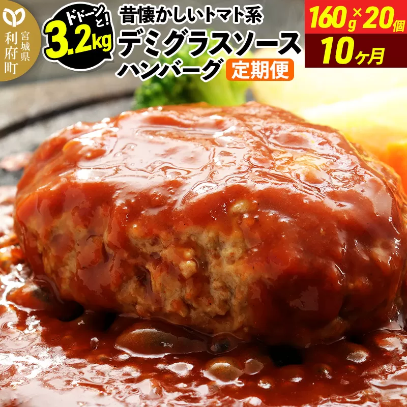 《定期便10ヶ月》ドドンと3.2kg！昔懐かしいトマト系デミグラスソースハンバーグ (160g×20個)×10回 肉 洋食 簡単 大容量 湯煎 湯せん 個包装