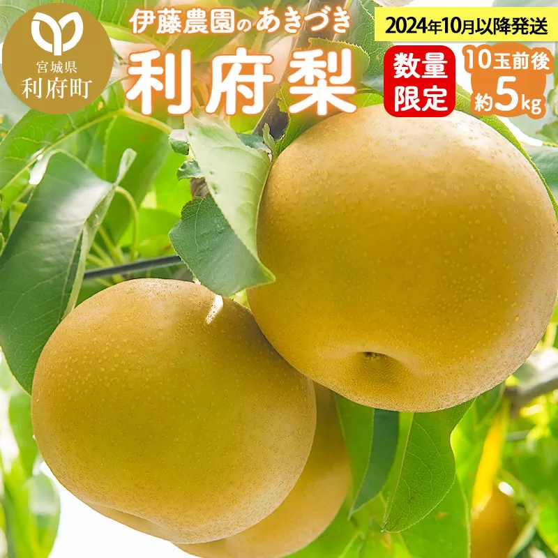 数量限定 利府梨（あきづき）5kg（10玉前後）