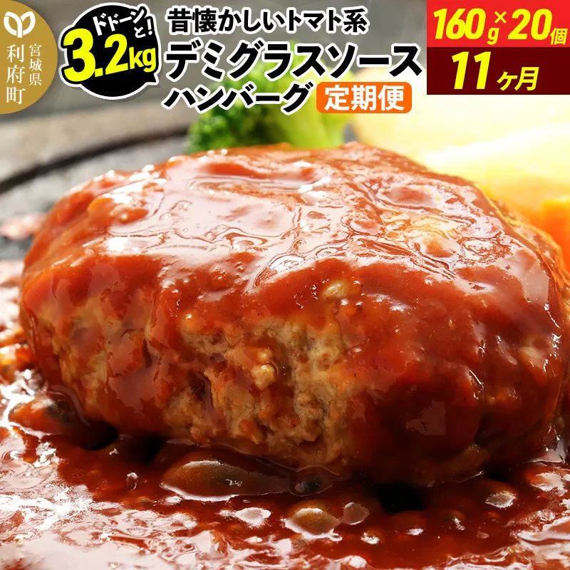 《定期便11ヶ月》ドドンと3.2kg！昔懐かしいトマト系デミグラスソースハンバーグ (160g×20個)×11回 肉 洋食 簡単 大容量 湯煎 湯せん 個包装