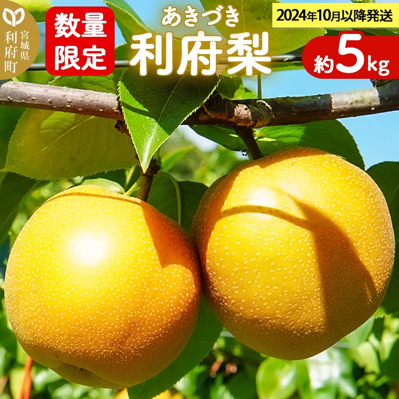 数量限定 利府梨（あきづき）約5kg（10玉前後）