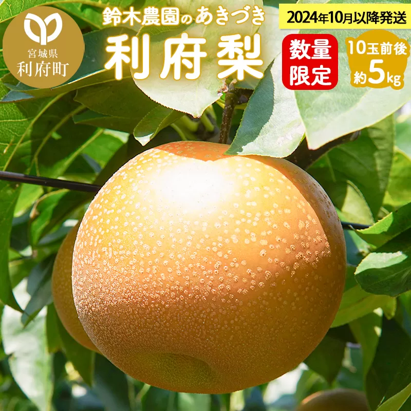 個数限定 利府梨（あきづき）5kg（10玉前後） 鈴木梨園