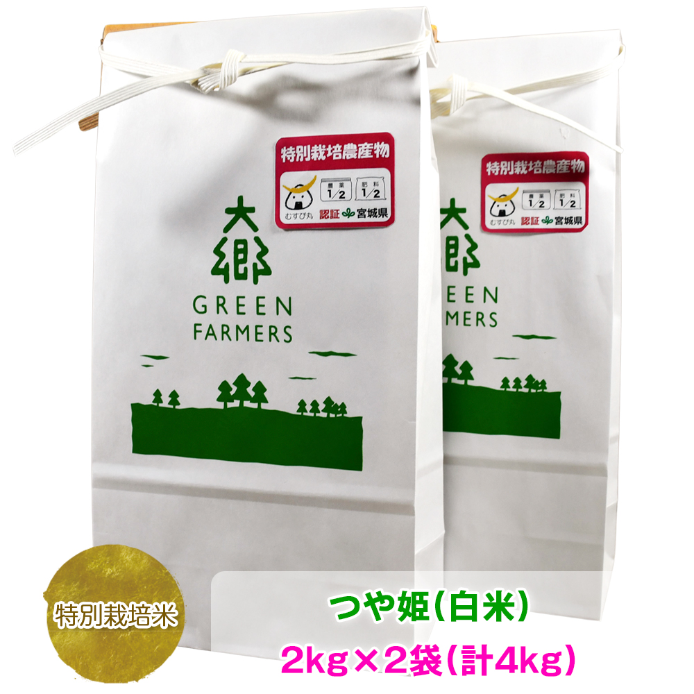 サロン専売『つや姫 20kg（10kg×2袋）』令和3年宮城県産 米/穀物
