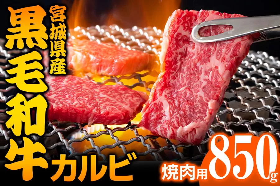 宮城県産 黒毛和牛カルビ焼肉用 850g｜国産 牛肉 バーベキュー [0050]