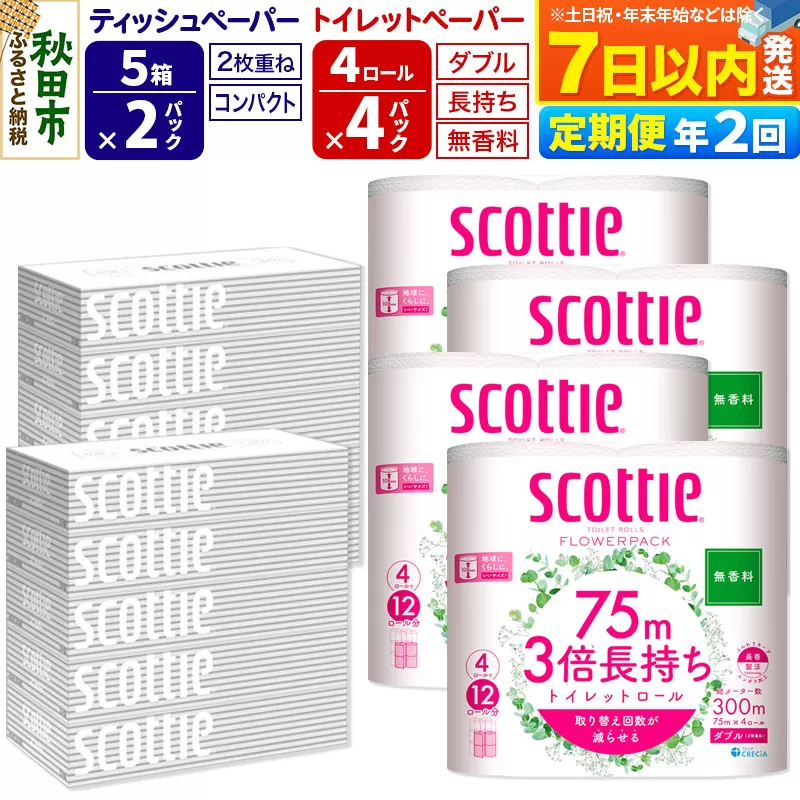 《6ヶ月ごとに2回お届け》定期便 トイレットペーパー スコッティ 3倍長持ち 無香料 4ロール(ダブル)×4P ＆ ティッシュペーパー スコッティ10箱(5箱×2P) 秋田市オリジナル