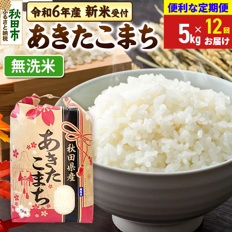 《新米先行受付》《定期便12ヶ月》 あきたこまち 5kg【無洗米】秋田県産 令和6年産 こまちライン