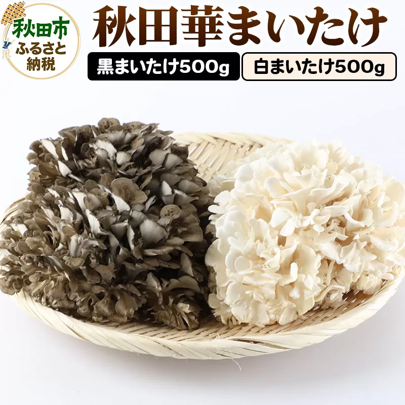 秋田華まいたけ 生まいたけセット 黒まいたけ 約500g 白まいたけ 約500g 舞茸