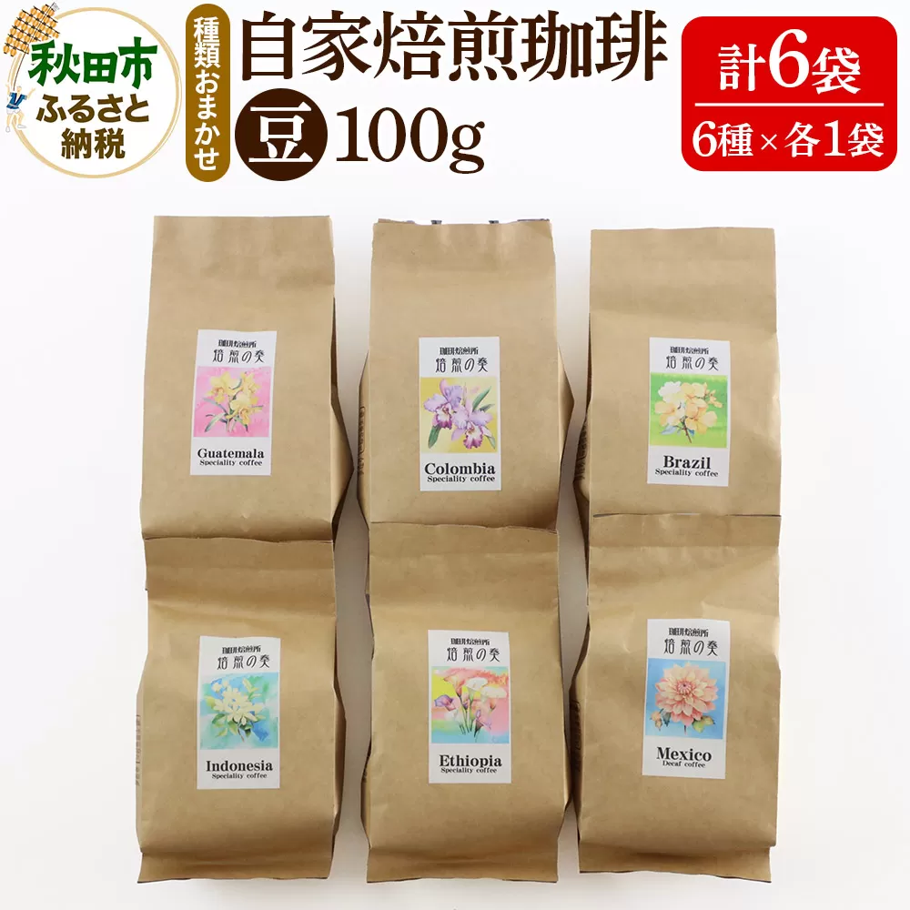 自家焙煎珈琲 豆 100g×おまかせ6種セット 計600g