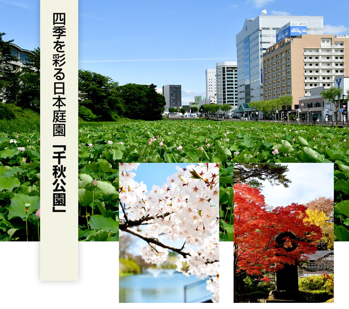 四季を彩る日本庭園「千秋公園」