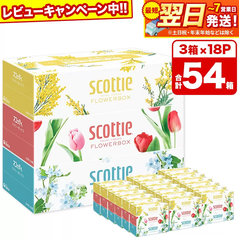 ティッシュペーパー スコッティ フラワーボックス250組 54箱(3箱×18パック)  日用品 最短翌日発送【レビューキャンペーン中】