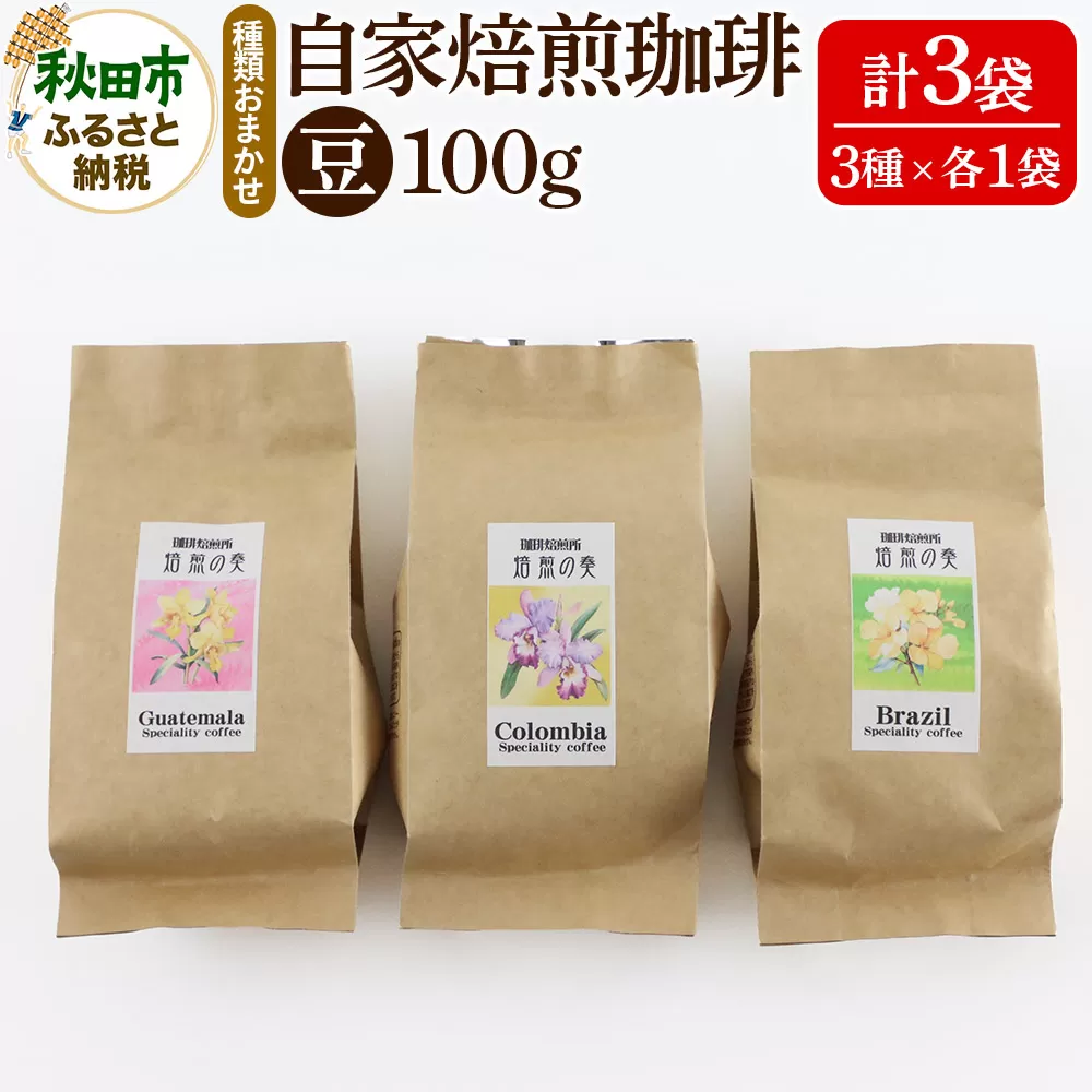 自家焙煎珈琲 豆 100g×おまかせ3種セット 計300g