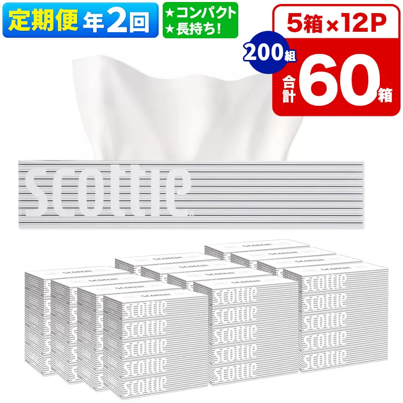 《6ヶ月ごとに2回お届け》定期便 ティッシュペーパー スコッティ 200組 60箱(5箱×12パック) ティッシュ【レビューキャンペーン中】