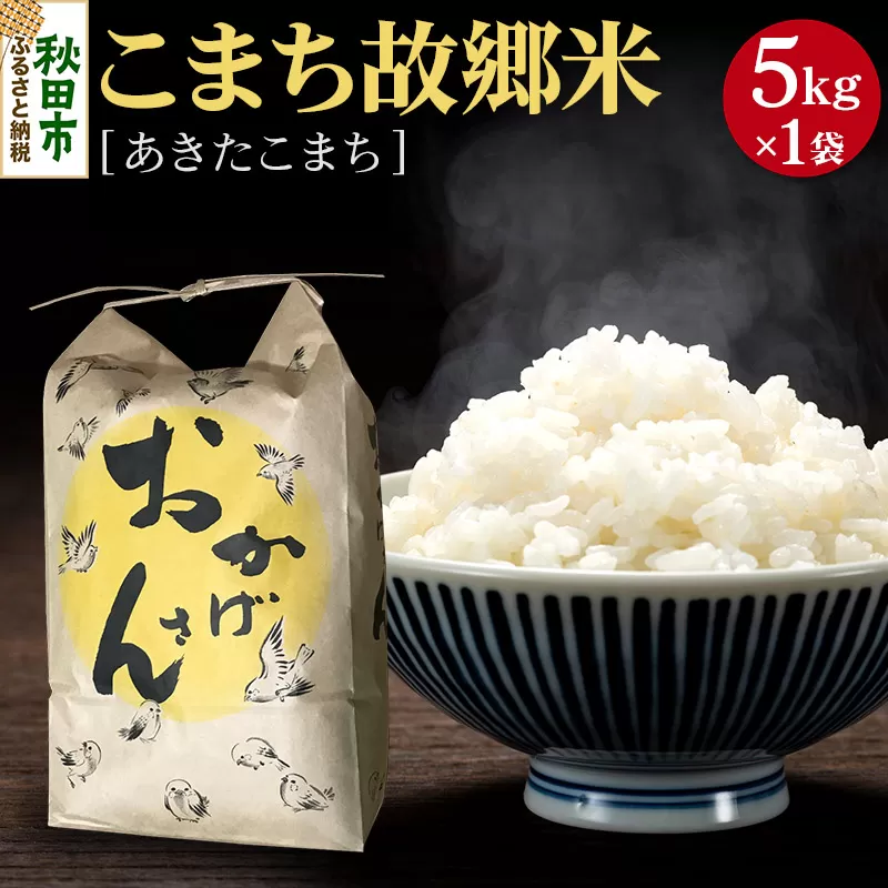 こまち故郷米＜あきたこまち＞5kg×1袋 令和6年産