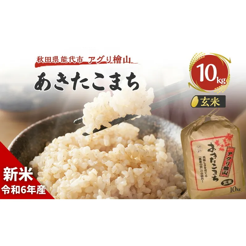 新米 9月下旬から順次発送 【玄米】秋田県産 あきたこまち 10kg アグリ檜山米 令和6年産