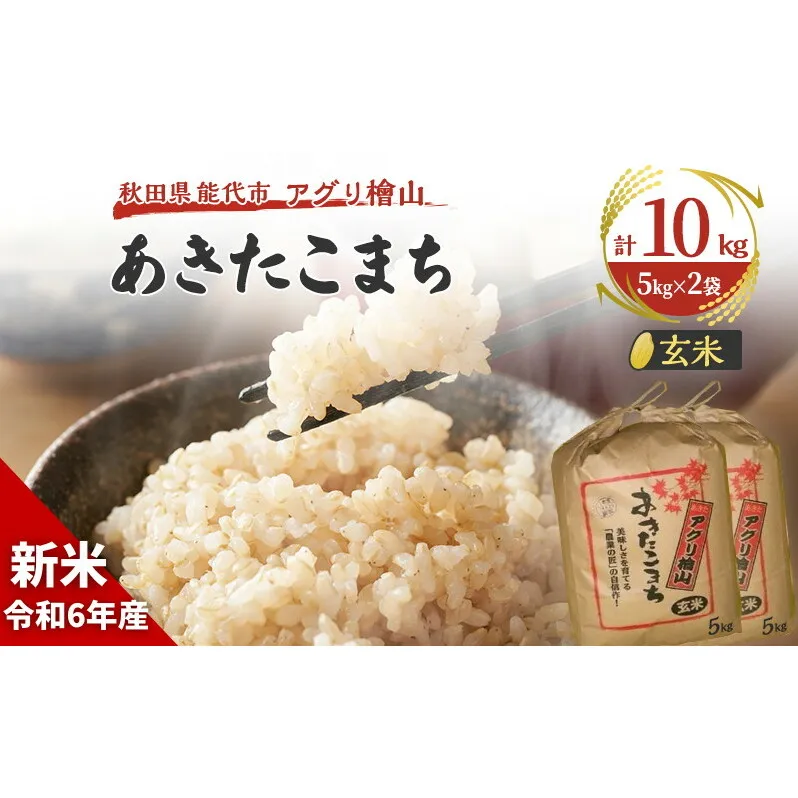 新米 9月下旬から順次発送 【玄米】秋田県産 あきたこまち 10kg (5kg×2袋) アグリ檜山米 令和6年産