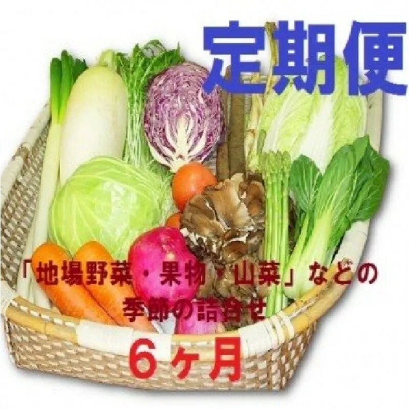 【6ヶ月定期便】能代の恵み「地場野菜・果物・山菜」などの季節の詰合せ