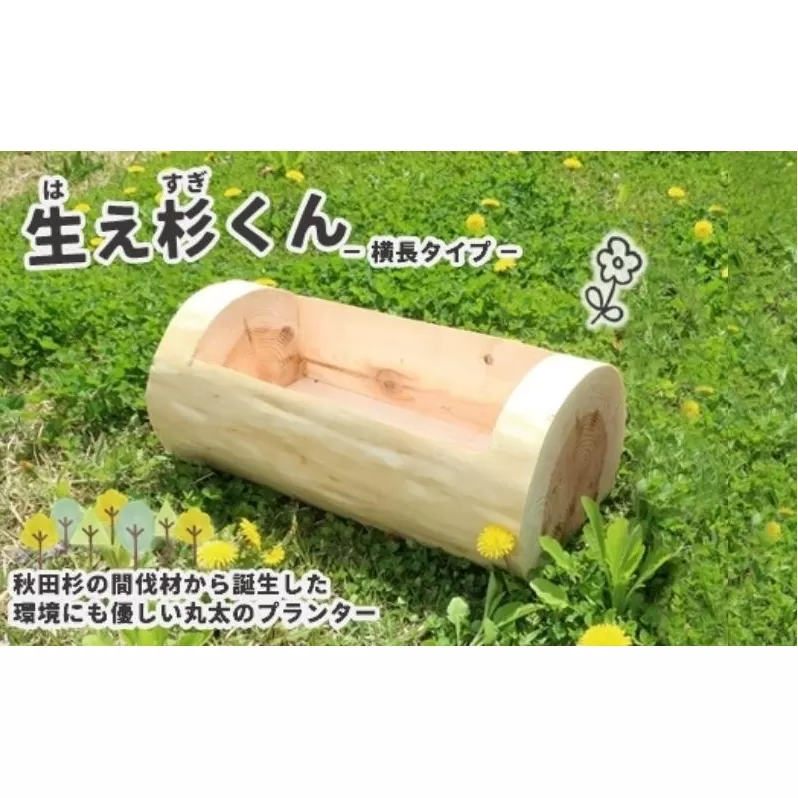 里山くらし応援 木工品 秋田杉の丸太プランター「生え杉くん（はえすぎくん）」横長タイプ