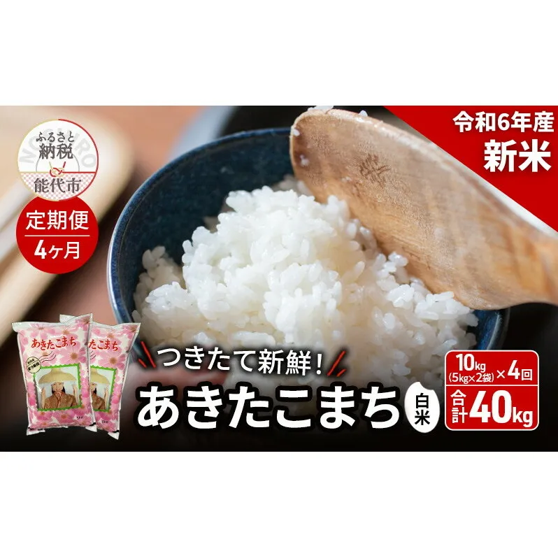 新米 《定期便4ヶ月》白米 ★つきたて新鮮★ うまい!! 本場のあきたこまち 10kg（5kg×2袋）×4回 合計40kg