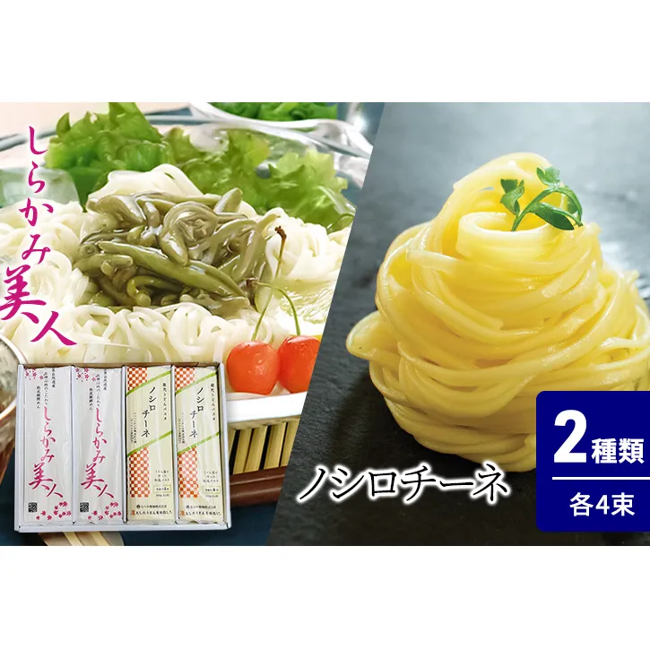 食べ比べ しらかみ美人 140g(約2人前)×4束 能代うどんパスタ ノシロチーネ 200g(約2人前)×4束 乾麺 和風 フィットチーネ 平打ち麺 鍋 冷たい 温かい ざるうどん 鍋の締め