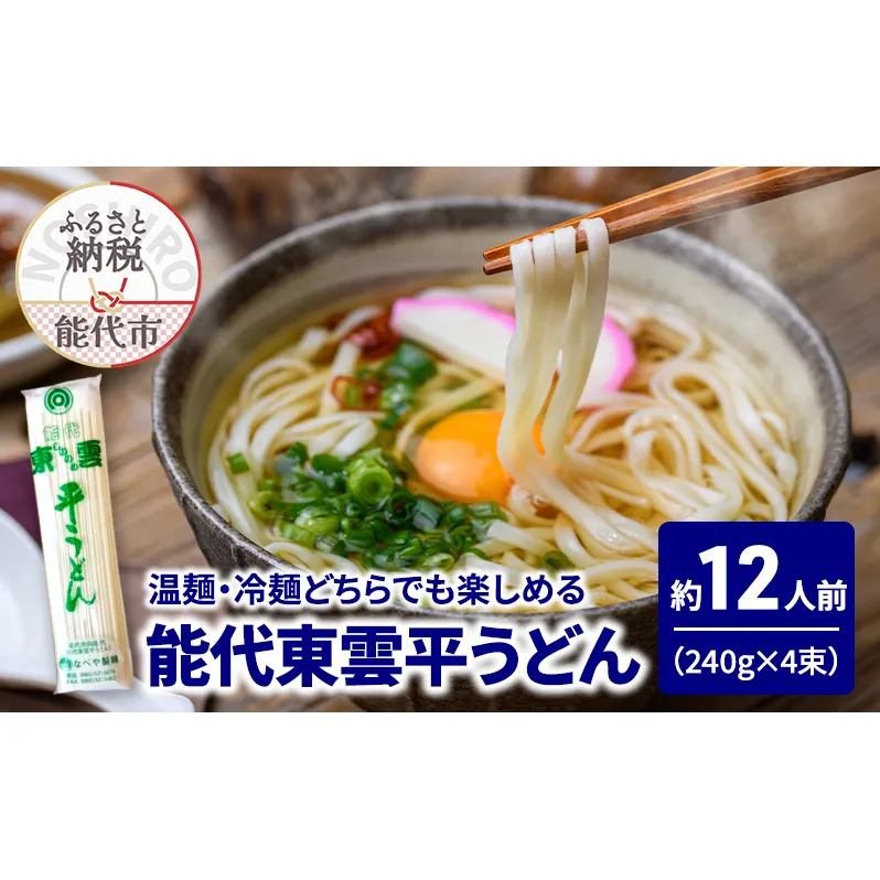 うどん 能代東雲平うどん 240g(約3人前)×4束 麺 乾麺 鍋 冷たい 温かい ざるうどん 鍋の締め