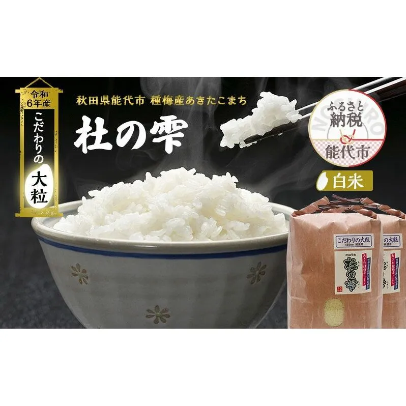 新米 米 お米 《定期便2ヶ月》【白米】秋田県産 あきたこまち あきた種梅産こまち 杜の雫 こだわりの大粒 9kg（4.5kg×2袋）×2回 合計18kg