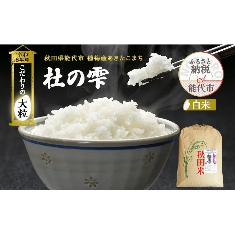 新米 米 お米 《定期便2ヶ月》【白米】秋田県産 あきたこまち あきた種梅産こまち 杜の雫 こだわりの大粒 26kg×2回 合計52kg