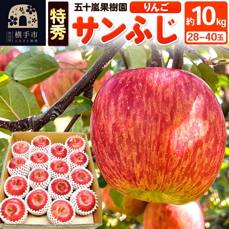 サンふじ 【特秀】 約10kg（28〜40玉）りんご 林檎